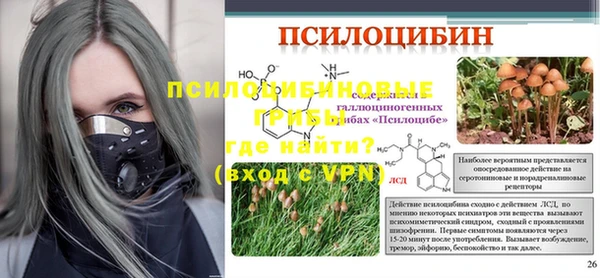 таблы Верея